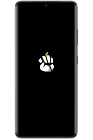 App Loading
