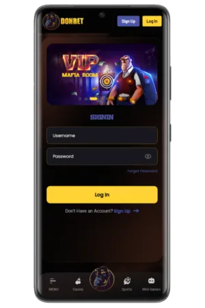 Log In Process