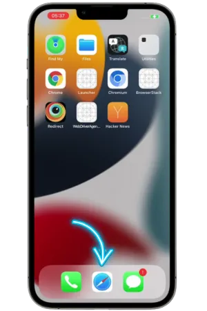 iOS Home Screen