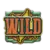 Wild Symbol
