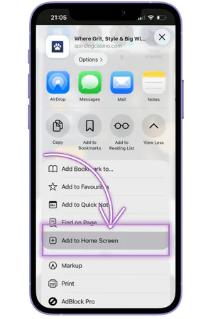 Add to Home Screen option iOS