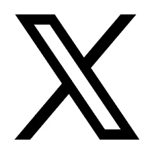 x icon